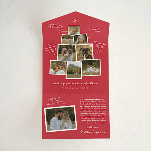 This is a cranberry all in one holiday cards with standard by Shari Margolin called photo tree printing on value cover in all-in-one