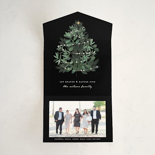 This is a jet all in one holiday cards with standard by Corinne Malesic called heaven and nature printing on value cover in all-in-one