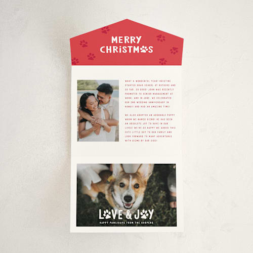 This is a snow all in one holiday cards with standard by Hooray Creative called puppy love and joy printing on value cover in all-in-one