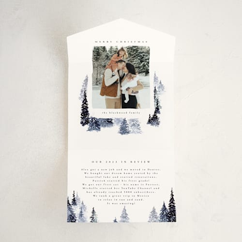 This is a frost all in one holiday cards with standard by Anastasia Makarova called fall of snow printing on value cover in all-in-one