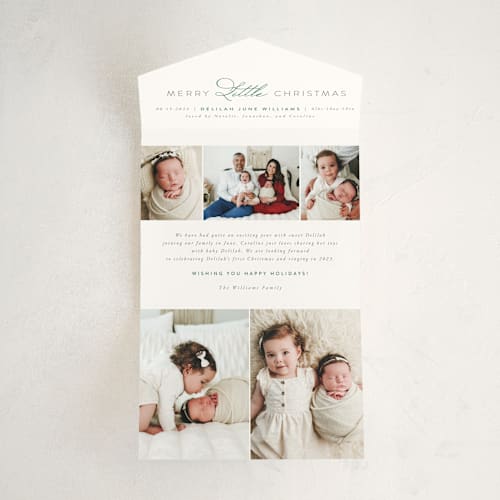 This is a forest all in one holiday cards with standard by Jen Banks called christmas baby printing on value cover in all-in-one