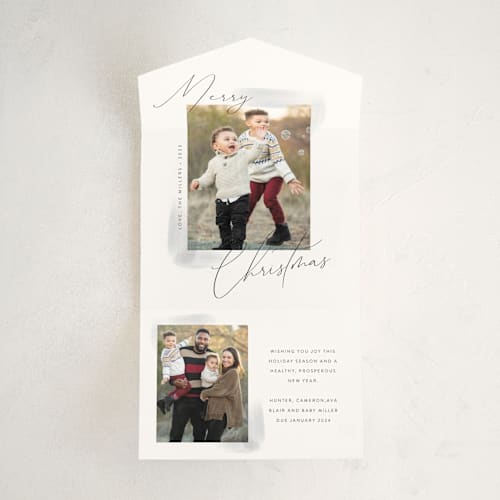 This is a ink all in one holiday cards with standard by Nicoletta Savod called sheer wash printing on value cover in all-in-one