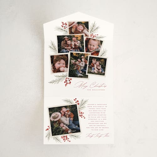 This is a holly berry all in one holiday cards with standard by Wildfield Paper Co called pine + sprig printing on value cover in all-in-one