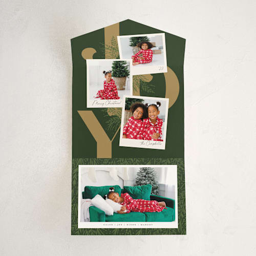 This is a pine all in one holiday cards with standard by Robert and Stella called christmas snaps printing on value cover in all-in-one