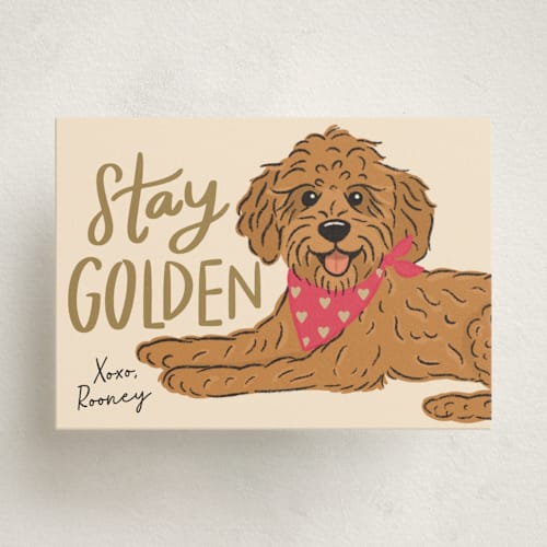 This is a bubblegum kids valentines day cards with standard by Lauren Jinhee called stay golden printing on signature in standard