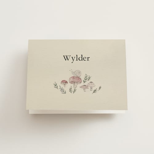 This is a lichen baby thank you cards with standard by Bonnie Davis called woodland wonder printing on strathmore in standard