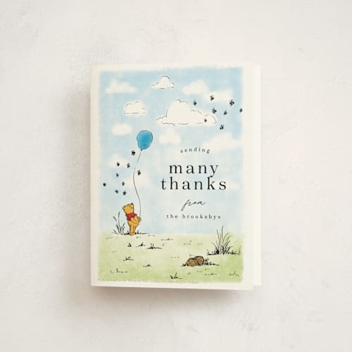 This is a hundred acre wood kids thank you cards with standard by Erin L. Wilson called disney's winnie the pooh many birthday adventures printing on strathmore in standard
