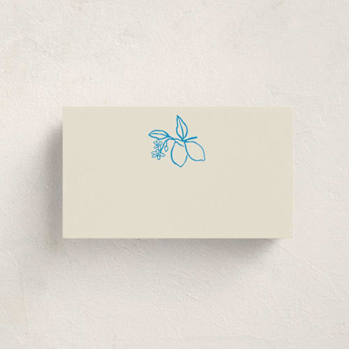 This is a ocean blank hosting stationery with standard by Pati Cascino called mediterraneo printing on signature in placecard