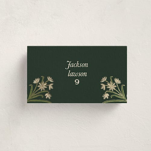 This is a pine party stationery with foil pressed by Amy Kross called paper whites printing on signature in placecard