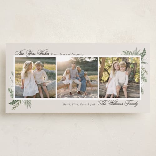 This is a frost holiday photo cards with standard by Susan Moyal called warmest wish printing on recycled smooth signature in tall