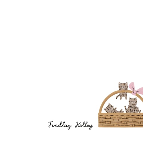 This is a tabi kids thank you cards notes with standard by mo kelley called a basket of kittens printing on signature in standard