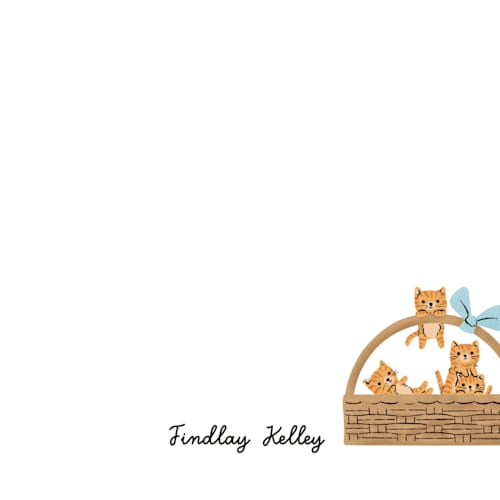This is a orangey kids thank you cards notes with standard by mo kelley called a basket of kittens printing on signature in standard