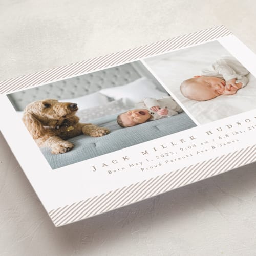 This is a fawn birth announcements with standard by Nicoletta Savod called sweet one printing on recycled smooth signature in standard