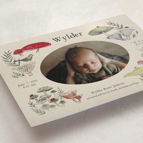 This is a lichen birth announcements with standard by Bonnie Davis called woodland wonder printing on smooth signature in standard