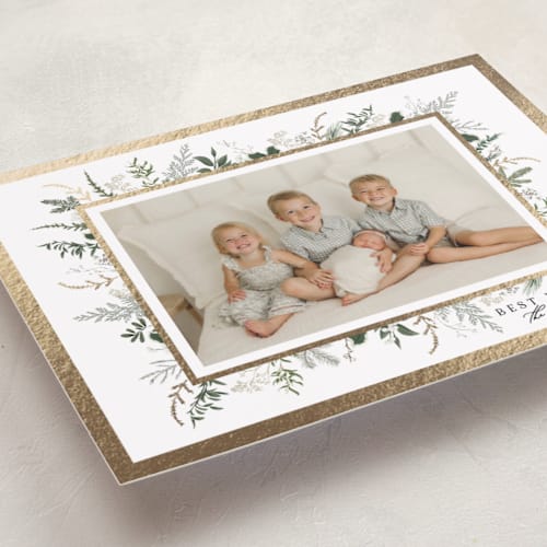 This is a sage foil pressed holiday cards with foil pressed by Susan Moyal called holly framed printing on recycled smooth signature in standard