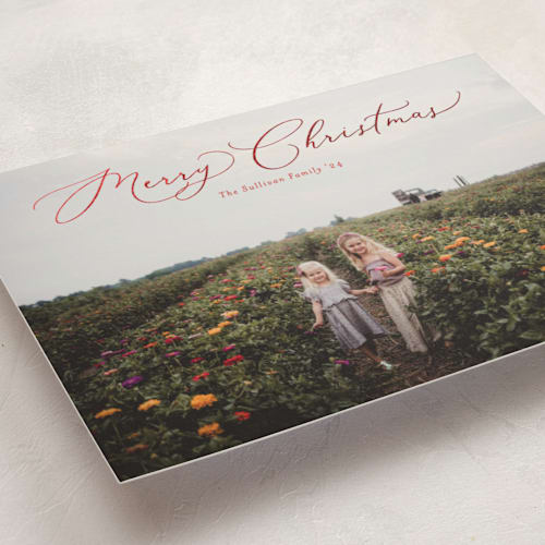 This is a poinsettia foil pressed holiday cards with foil pressed by Erica Krystek called charming script printing on recycled smooth signature in standard