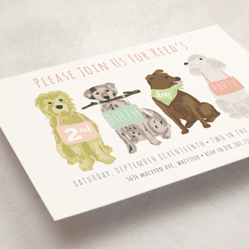 This is a peony kids birthday invitations with standard by Shiny Penny Studio called puppy line-up printing on signature in standard