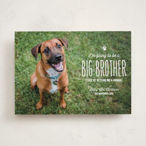 This is a lily birth announcements with standard by Lea Delaveris called from your furry first-born printing on smooth signature in standard