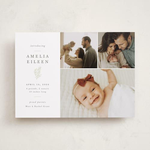This is a sage birth announcements with standard by Sarah Brown called tiny sprig printing on smooth signature in standard