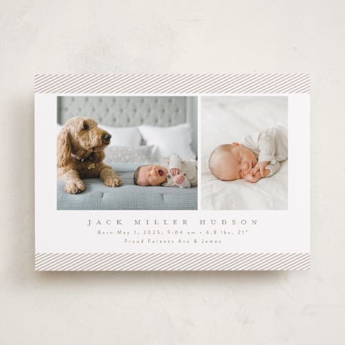 This is a fawn birth announcements with standard by Nicoletta Savod called sweet one printing on recycled smooth signature in standard