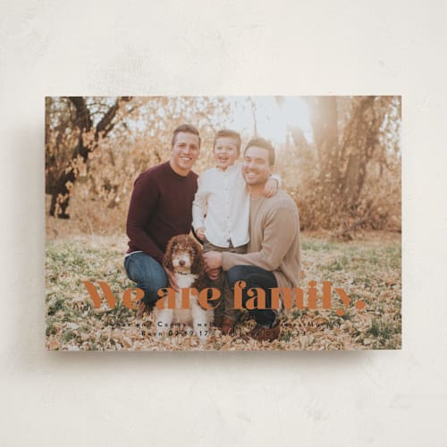 This is a sunshine birth announcements with standard by Corinne Malesic called we are family printing on recycled smooth signature in standard