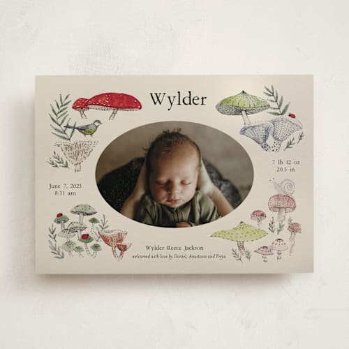 This is a lichen birth announcements with standard by Bonnie Davis called woodland wonder printing on smooth signature in standard