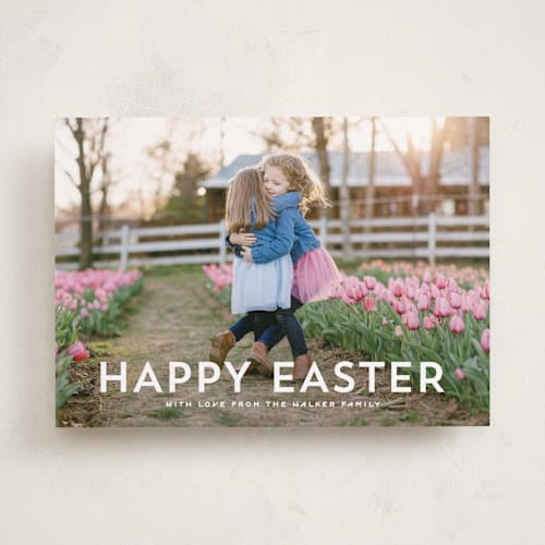 This is a lily easter photo cards with standard by Hooray Creative called modern easter printing on recycled smooth signature in standard