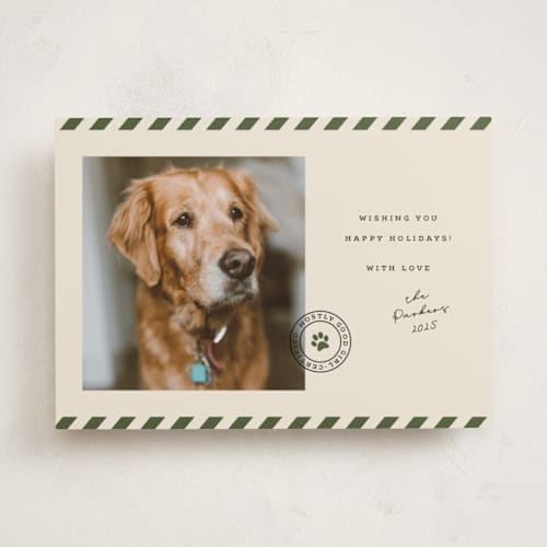 This is a forest holiday photo cards with standard by Roxy Cervantes called mostly good printing on recycled smooth signature in standard