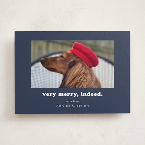 This is a midnight holiday photo cards with standard by Kristen Knechtel called indeed printing on recycled smooth signature in standard