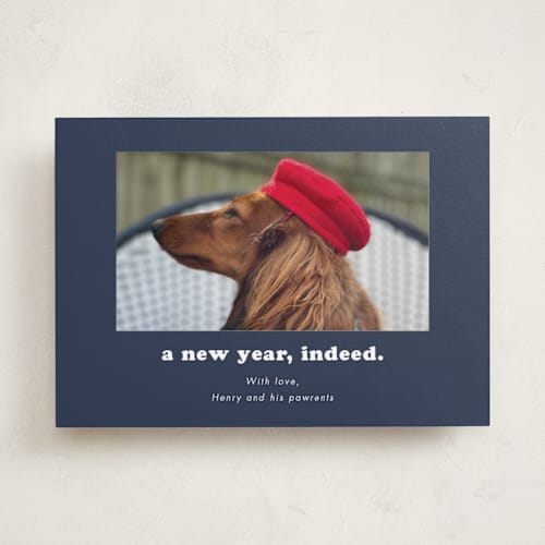 This is a midnight holiday photo cards with standard by Kristen Knechtel called indeed printing on recycled smooth signature in standard