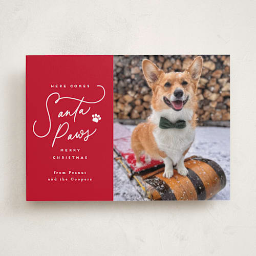 This is a candied apple holiday photo cards with standard by Everett Paper Goods called here comes santa paws printing on recycled smooth signature in standard