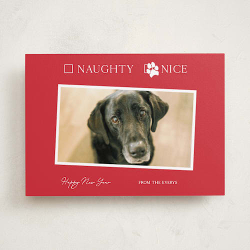 This is a poinsettia holiday photo cards with standard by Kat Roberts called nice pup printing on recycled smooth signature in standard