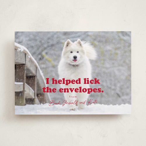 This is a chewed stocking holiday photo cards with standard by Hudson meet Rose called helping printing on recycled smooth signature in standard