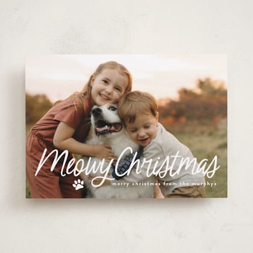 This is a snow holiday photo cards with standard by Annie Holmquist called unleashed printing on recycled smooth signature in standard