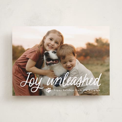 This is a snow holiday photo cards with standard by Annie Holmquist called unleashed printing on recycled smooth signature in standard