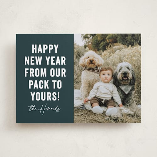This is a blue spruce holiday photo cards with standard by Brooke Chandler called our pack to yours printing on recycled smooth signature in standard