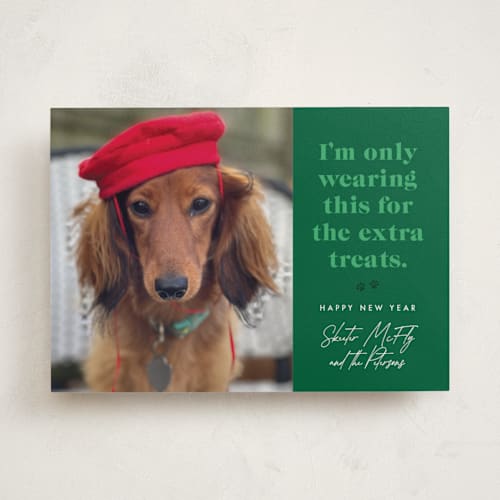 This is a emerald holiday photo cards with standard by 2birdstone called for the treats printing on recycled smooth signature in standard