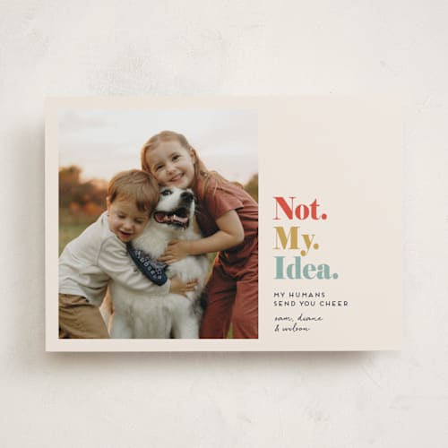 This is a maize holiday photo cards with standard by Penny Eversole called not my idea pet card printing on recycled smooth signature in standard