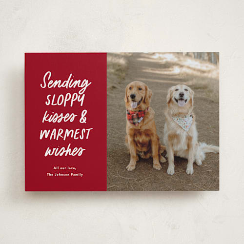 This is a cardinal holiday photo cards with standard by Ekko Studio called dog wishes printing on recycled smooth signature in standard