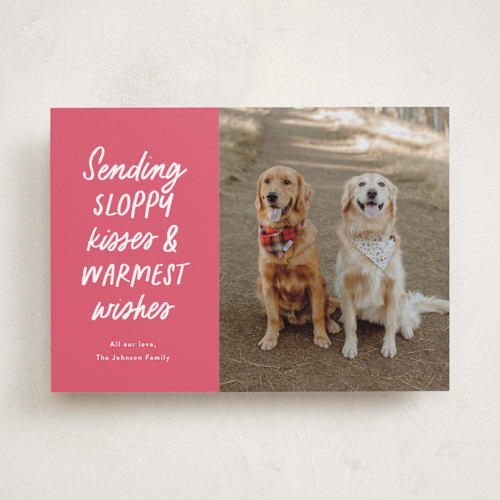 This is a gumdrop holiday photo cards with standard by Ekko Studio called dog wishes printing on recycled smooth signature in standard