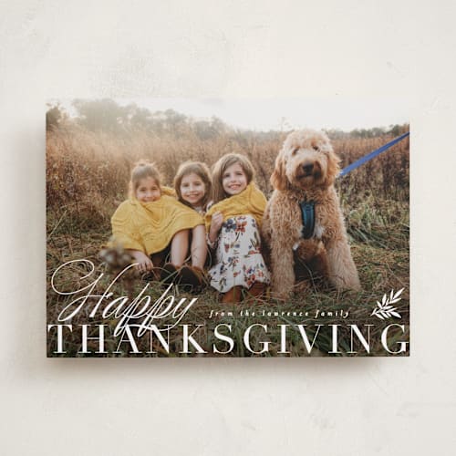 This is a cream thanksgiving cards invitations with standard by Everett Paper Goods called elegant harvest printing on recycled smooth signature in standard