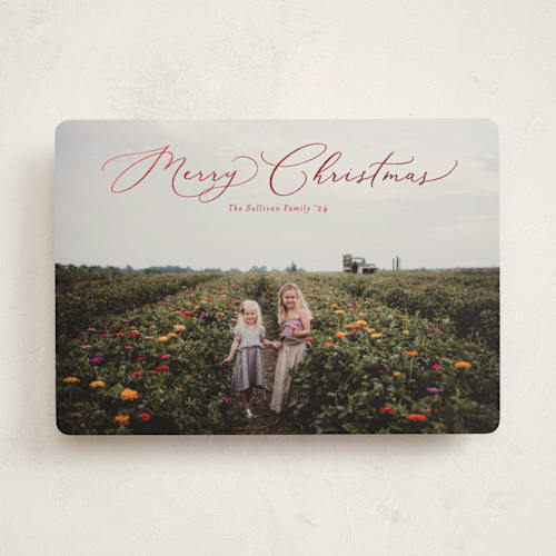 This is a poinsettia foil pressed holiday cards with foil pressed by Erica Krystek called charming script printing on recycled smooth signature in standard