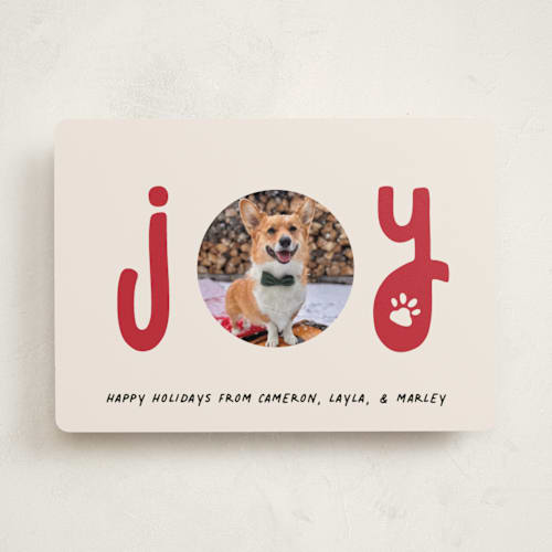 This is a candy cane holiday photo cards with standard by Louise Kay called joyful pet printing on recycled smooth signature in standard