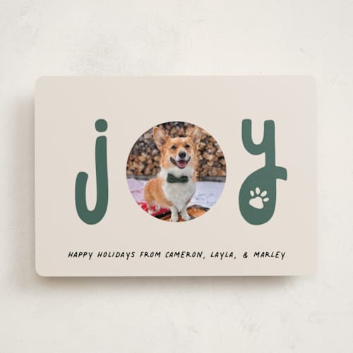 This is a juniper holiday photo cards with standard by Louise Kay called joyful pet printing on recycled smooth signature in standard