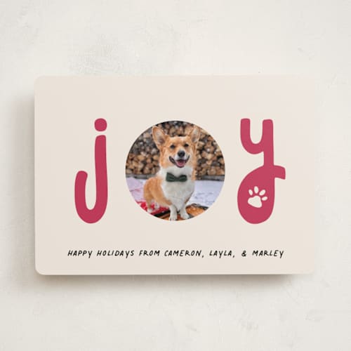 This is a gumdrop holiday photo cards with standard by Louise Kay called joyful pet printing on recycled smooth signature in standard