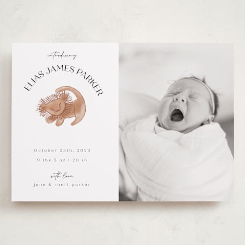 This is a desert grand birth announcements with standard by Maja Cunningham called disney the little lion king printing on recycled smooth signature in grand