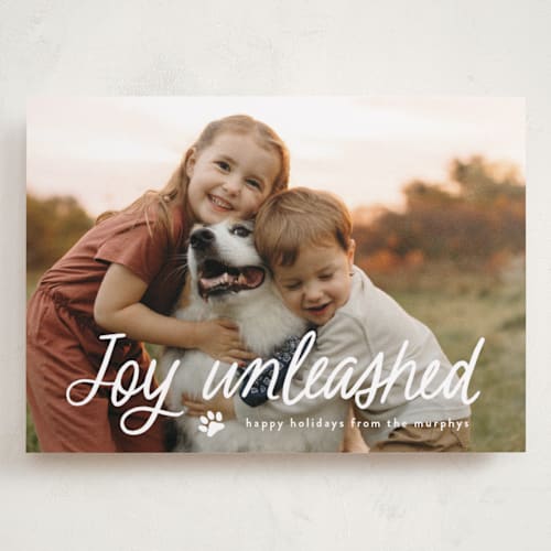 This is a snow holiday photo cards with standard by Annie Holmquist called unleashed printing on recycled smooth signature in grand
