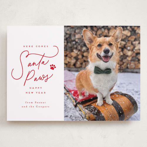 This is a cherry holiday photo cards with standard by Everett Paper Goods called here comes santa paws printing on recycled smooth signature in grand