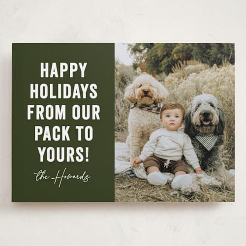 This is a evergreen holiday photo cards with standard by Brooke Chandler called our pack to yours printing on recycled smooth signature in grand