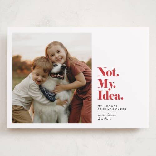 This is a bright red holiday photo cards with standard by Penny Eversole called not my idea pet card printing on recycled smooth signature in grand